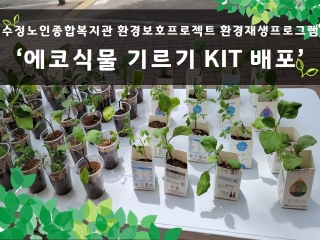 [환경보호프로젝트] 일회용컵의 무한변신! '에코식물 기르기 KIT' 배포 관련사진